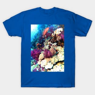 PAINT THE WRASSE MAN! T-Shirt